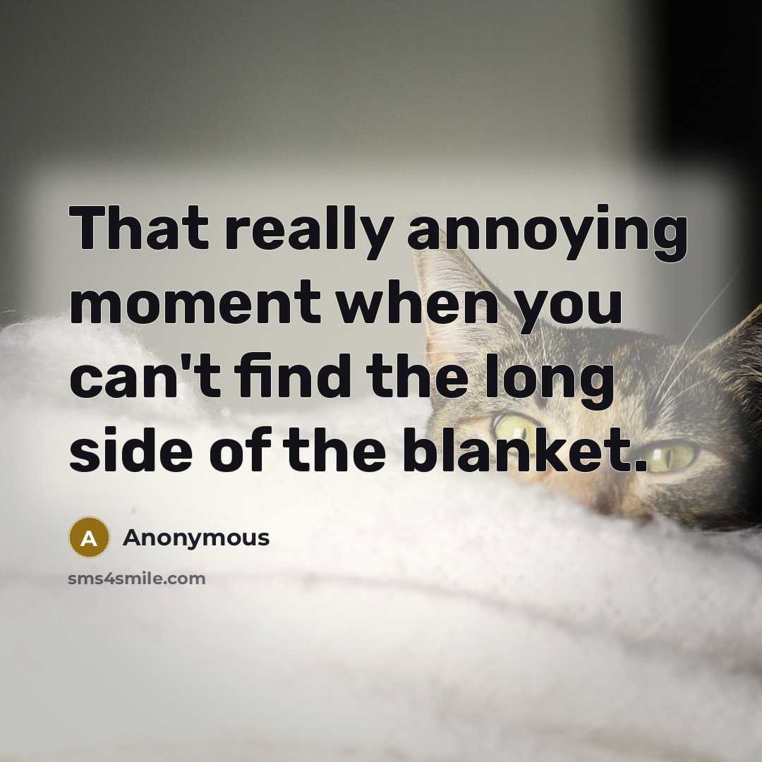 “That really annoying moment when you can't find the long side of the blanket.” quote by Anonymous