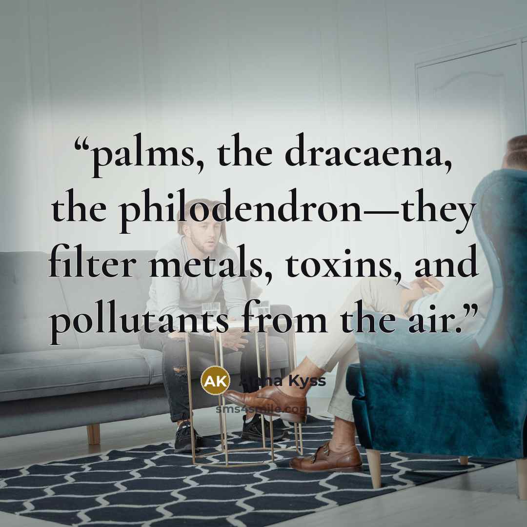 “palms, the dracaena, the philodendron—they filter metals, toxins, and pollutants from the air.” quote by Anna Kyss