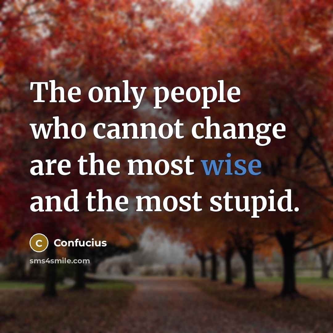 “The only people who cannot change are the most wise and the most stupid.” quote by Confucius