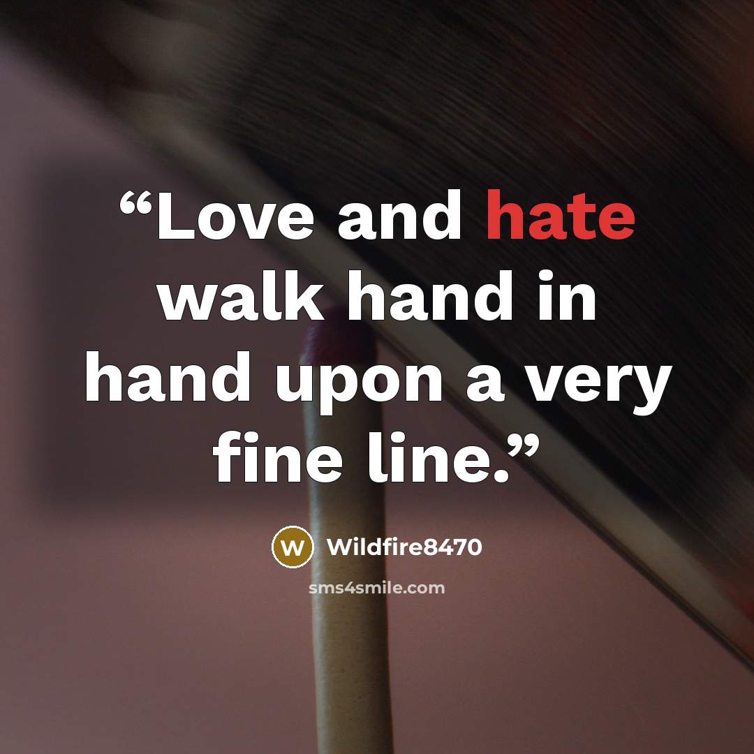 “Love and hate walk hand in hand upon a very fine line.” quote by Wildfire8470