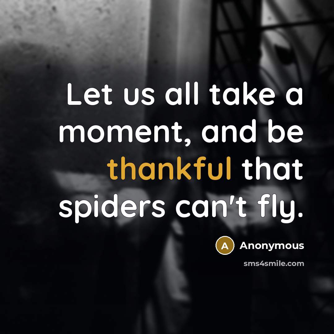 “Let us all take a moment, and be thankful that spiders can't fly.” quote by Anonymous