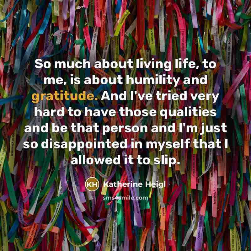 “So much about living life, to me, is about humility and gratitude. And I've tried very hard to have those qualities and be that person and I'm just so disappointed in myself that I allowed it to slip.” quote by Katherine Heigl
