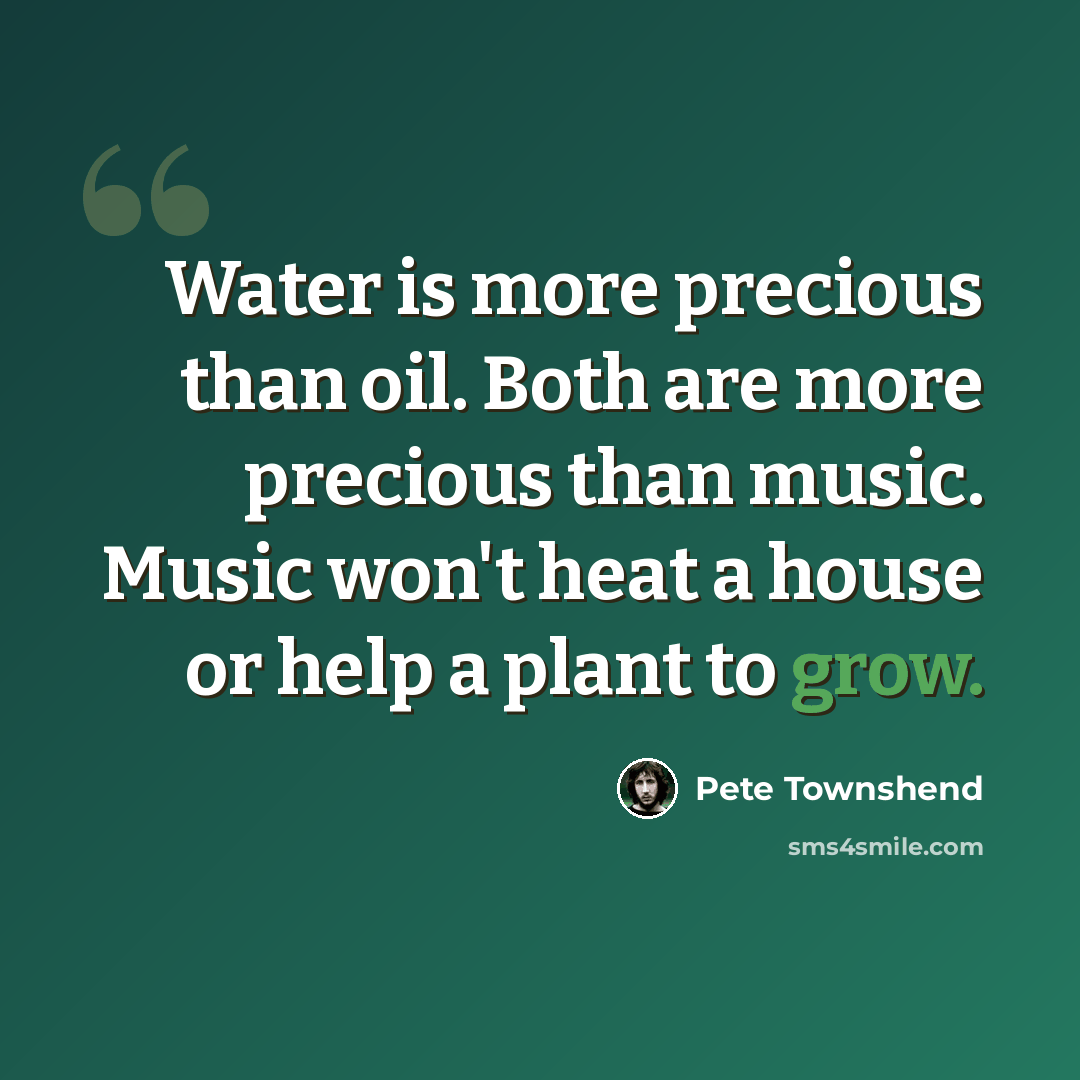 “Water is more precious than oil. Both are more precious than music. Music won't heat a house or help a plant to grow.” quote by Pete Townshend