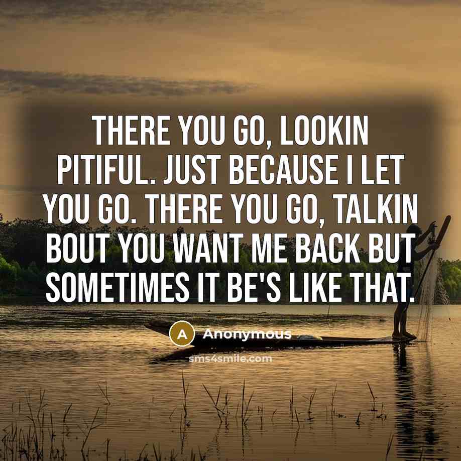 “There you go, lookin pitiful. Just because I let you go. There you go, talkin bout you want me back but sometimes it be's like that.” quote by Anonymous