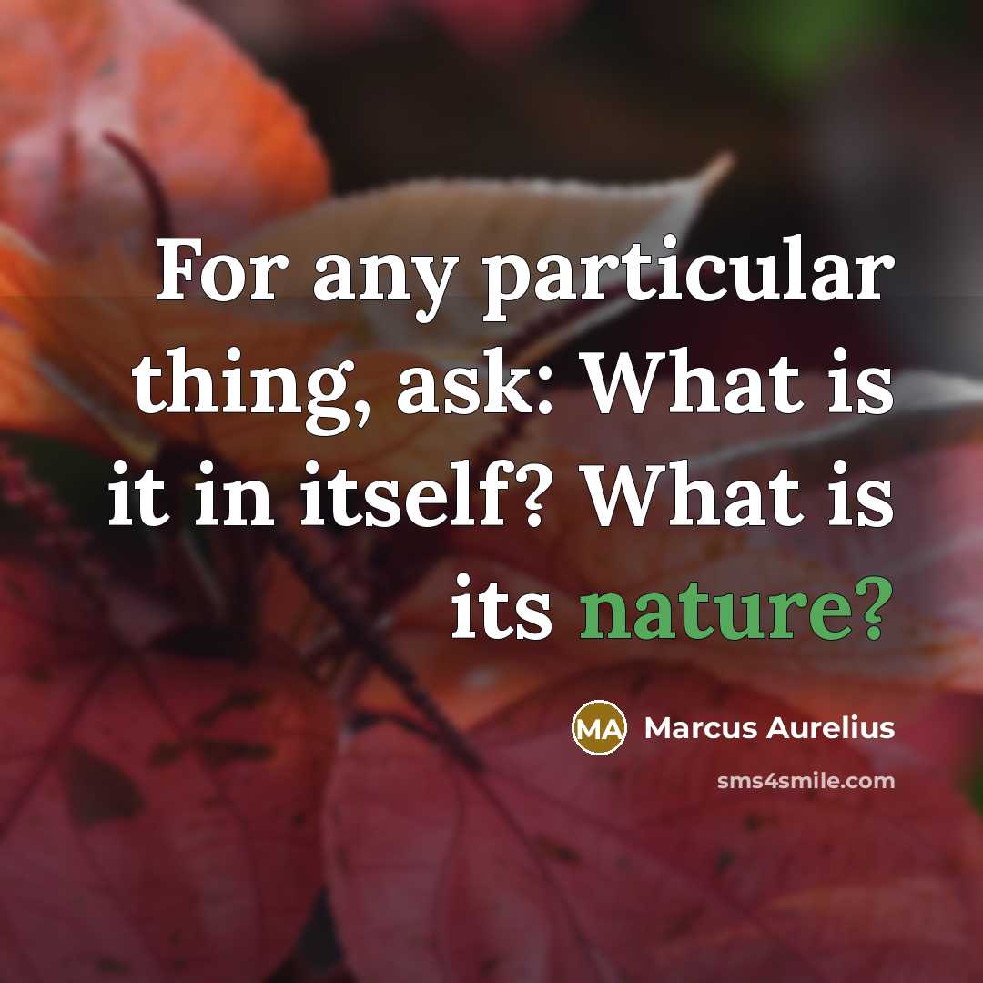 “For any particular thing, ask: What is it in itself? What is its nature?” quote by Marcus Aurelius