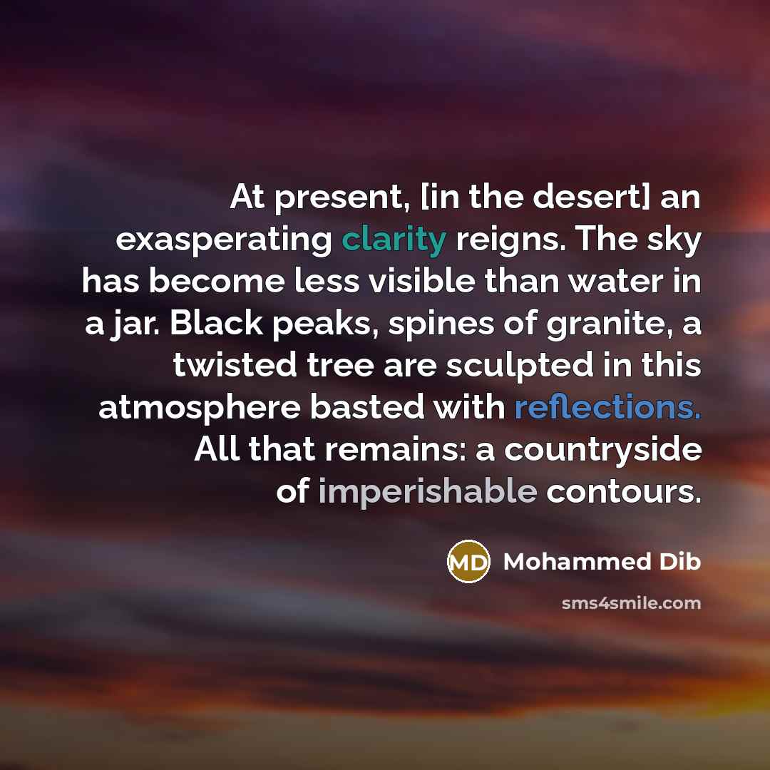 “At present, [in the desert] an exasperating clarity reigns. The sky has become less visible than water in a jar. Black peaks, spines of granite, a twisted tree are sculpted in this atmosphere basted with reflections. All that remains: a countryside of imperishable contours.” quote by Mohammed Dib