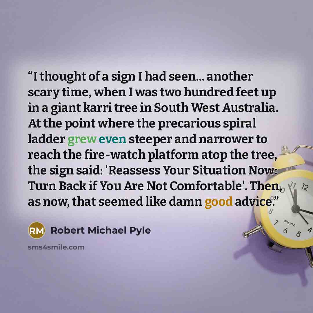 “I thought of a sign I had seen... another scary time, when I was two hundred feet up in a giant karri tree in South West Australia. At the point where the precarious spiral ladder grew even steeper and narrower to reach the fire-watch platform atop the tree, the sign said: 'Reassess Your Situation…” quote by Robert Michael Pyle