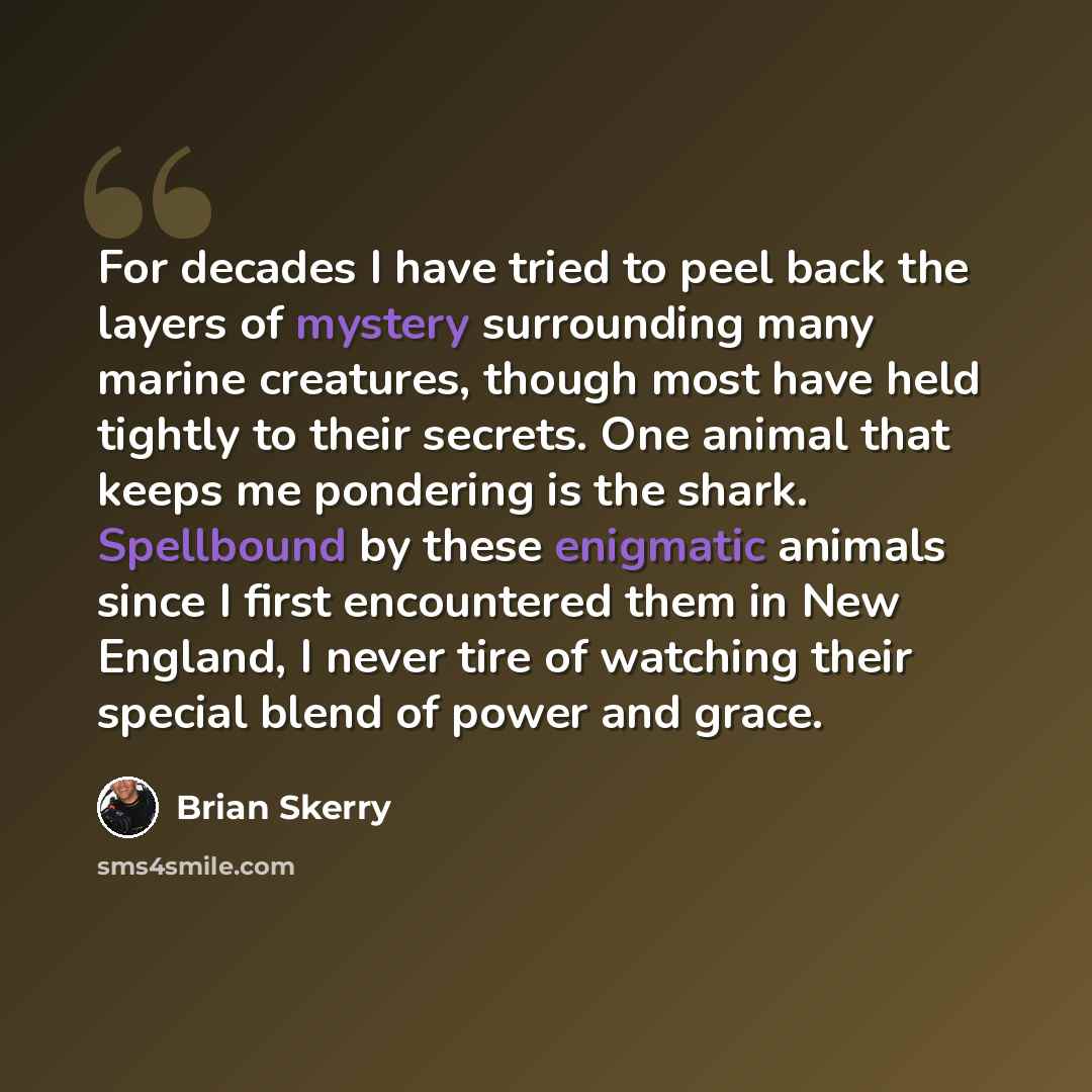 “For decades I have tried to peel back the layers of mystery surrounding many marine creatures, though most have held tightly to their secrets. One animal that keeps me pondering is the shark. Spellbound by these enigmatic animals since I first encountered them in New England, I never tire of…” quote by Brian Skerry