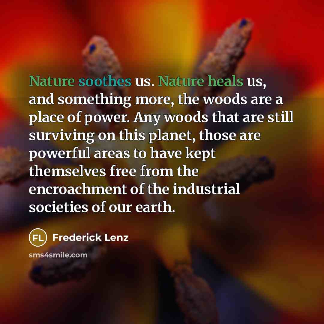“Nature soothes us. Nature heals us, and something more, the woods are a place of power. Any woods that are still surviving on this planet, those are powerful areas to have kept themselves free from the encroachment of the industrial societies of our earth.” quote by Frederick Lenz