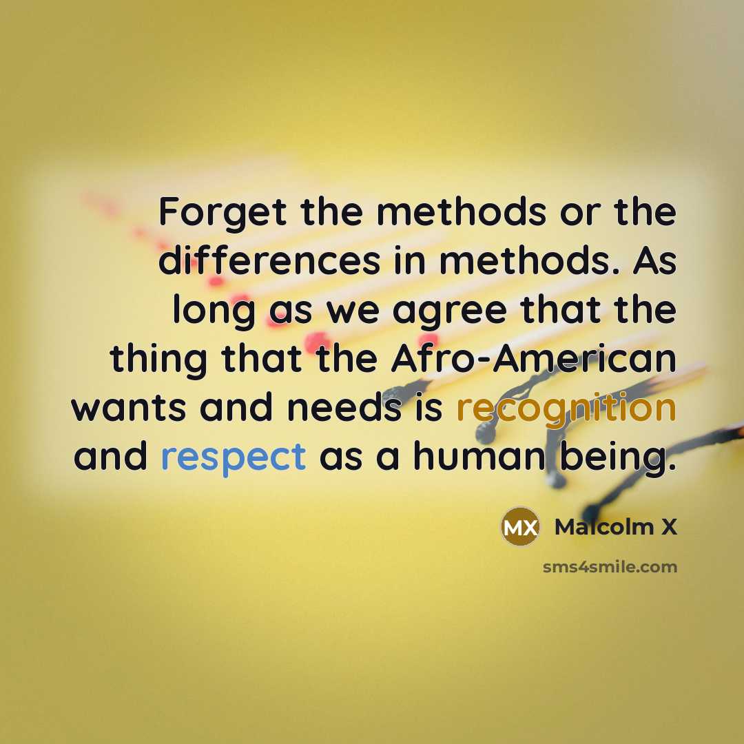 “Forget the methods or the differences in methods. As long as we agree that the thing that the Afro-American wants and needs is recognition and respect as a human being.” quote by Malcolm X