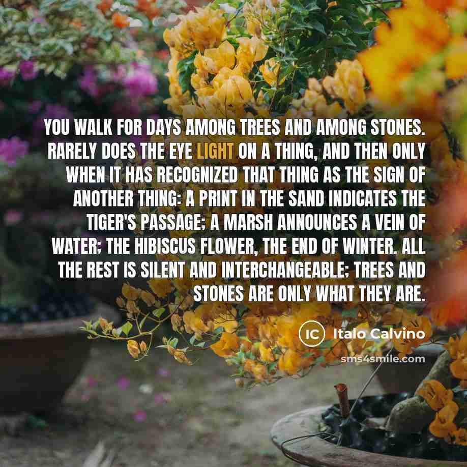 “You walk for days among trees and among stones. Rarely does the eye light on a thing, and then only when it has recognized that thing as the sign of another thing: a print in the sand indicates the tiger's passage; a marsh announces a vein of water; the hibiscus flower, the end of winter. All the…” quote by Italo Calvino