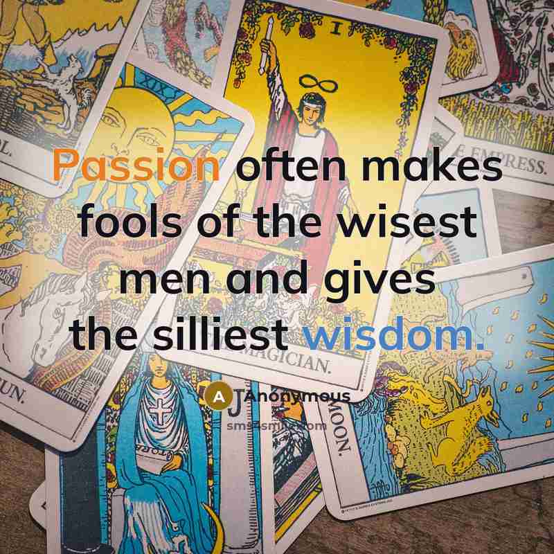“Passion often makes fools of the wisest men and gives the silliest wisdom.” quote by Anonymous