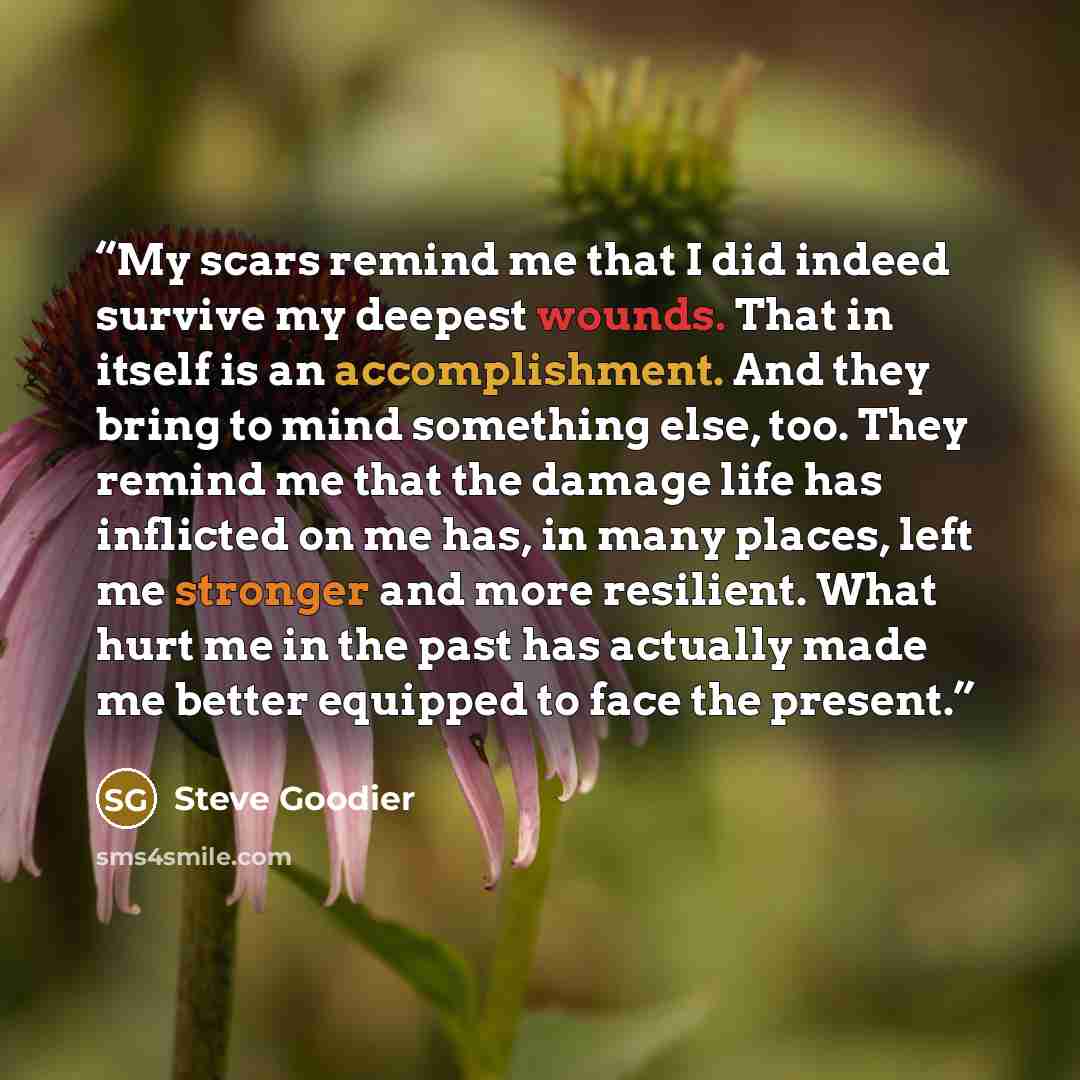 “My scars remind me that I did indeed survive my deepest wounds. That in itself is an accomplishment. And they bring to mind something else, too. They remind me that the damage life has inflicted on me has, in many places, left me stronger and more resilient. What hurt me in the past has actually…” quote by Steve Goodier
