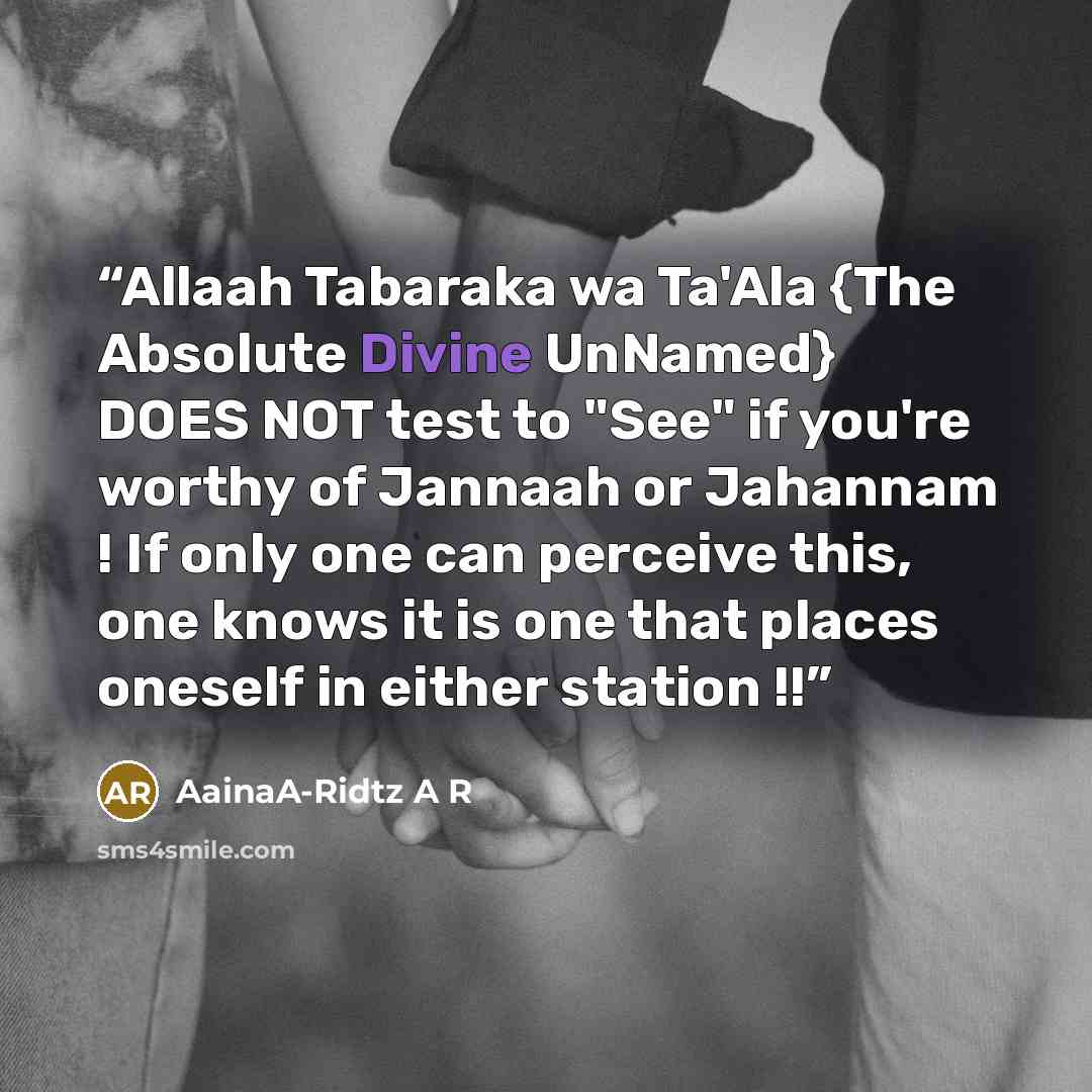 “Allaah Tabaraka wa Ta'Ala {The Absolute Divine UnNamed} DOES NOT test to "See" if you're worthy of Jannaah or Jahannam ! If only one can perceive this, one knows it is one that places oneself in either station !!” quote by AainaA-Ridtz A R