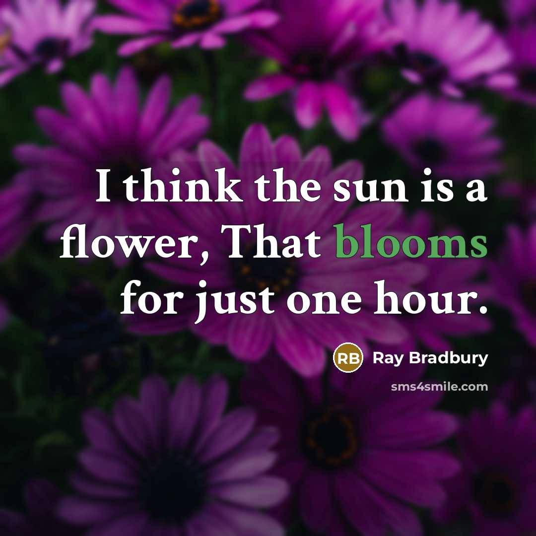 “I think the sun is a flower, That blooms for just one hour.” quote by Ray Bradbury