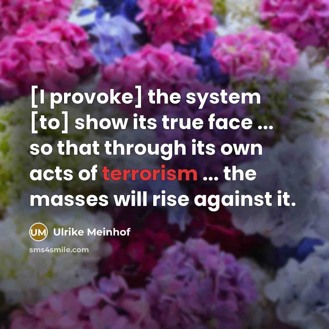 “[I provoke] the system [to] show its true face ... so that through its own acts of terrorism ... the masses will rise against it.” quote by Ulrike Meinhof