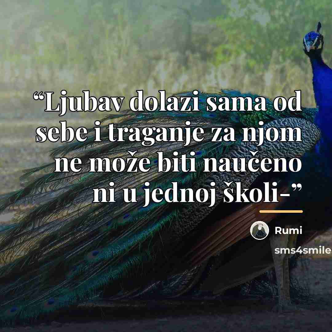 “Ljubav dolazi sama od sebe i traganje za njom ne može biti naučeno ni u jednoj školi-” quote by Rumi
