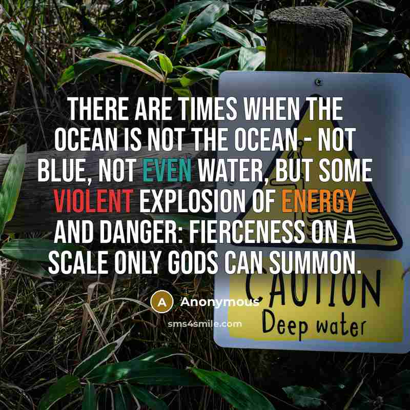 “There are times when the ocean is not the ocean - not blue, not even water, but some violent explosion of energy and danger: fierceness on a scale only gods can summon.” quote by Anonymous