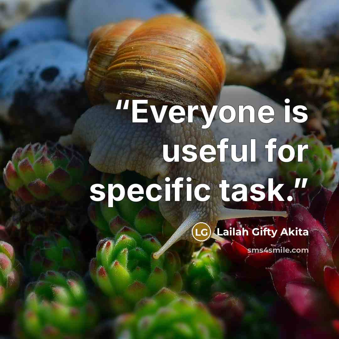 “Everyone is useful for specific task.” quote by Lailah Gifty Akita