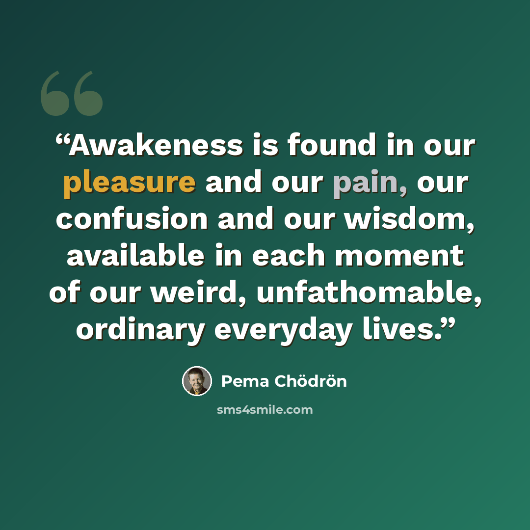 “Awakeness is found in our pleasure and our pain, our confusion and our wisdom, available in each moment of our weird, unfathomable, ordinary everyday lives.” quote by Pema Chödrön