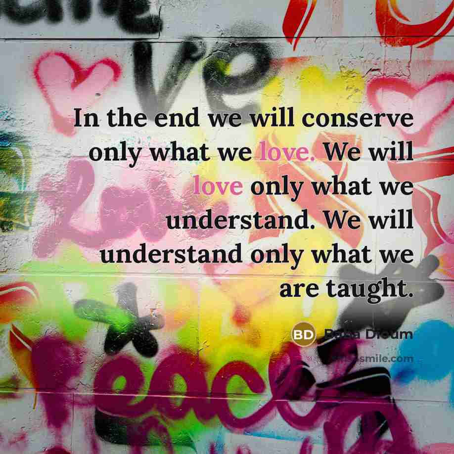 “In the end we will conserve only what we love. We will love only what we understand. We will understand only what we are taught.” quote by Baba Dioum