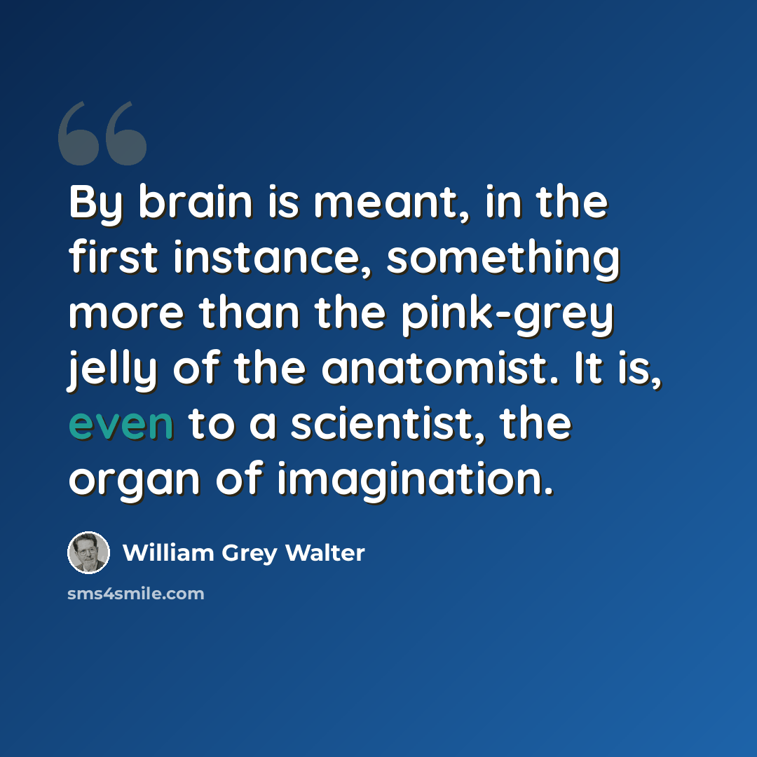 “By brain is meant, in the first instance, something more than the pink-grey jelly of the anatomist. It is, even to a scientist, the organ of imagination.” quote by William Grey Walter