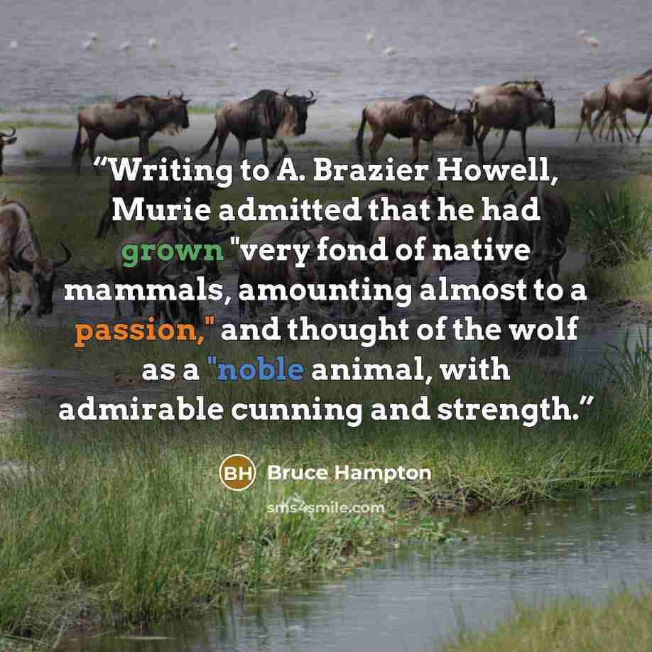“Writing to A. Brazier Howell, Murie admitted that he had grown "very fond of native mammals, amounting almost to a passion," and thought of the wolf as a "noble animal, with admirable cunning and strength.” quote by Bruce Hampton