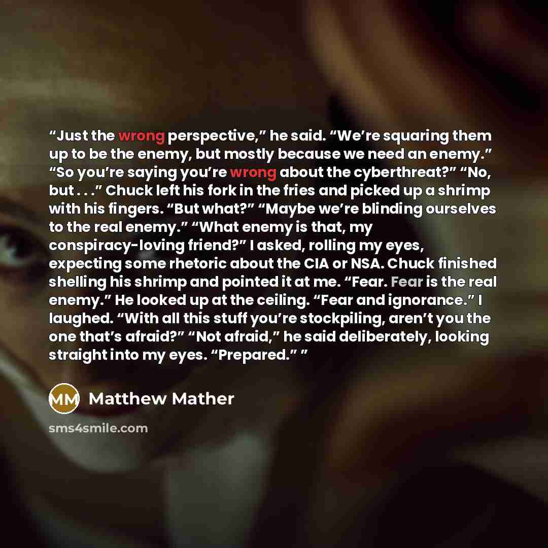 “Just the wrong perspective,” he said. “We’re squaring them up to be the enemy, but mostly because we need an enemy.” “So you’re saying you’re wrong about the cyberthreat?” “No, but . . .” Chuck left his fork in the fries and picked up a shrimp with his fingers. “But what?” “Maybe we’re blinding…” quote by Matthew Mather