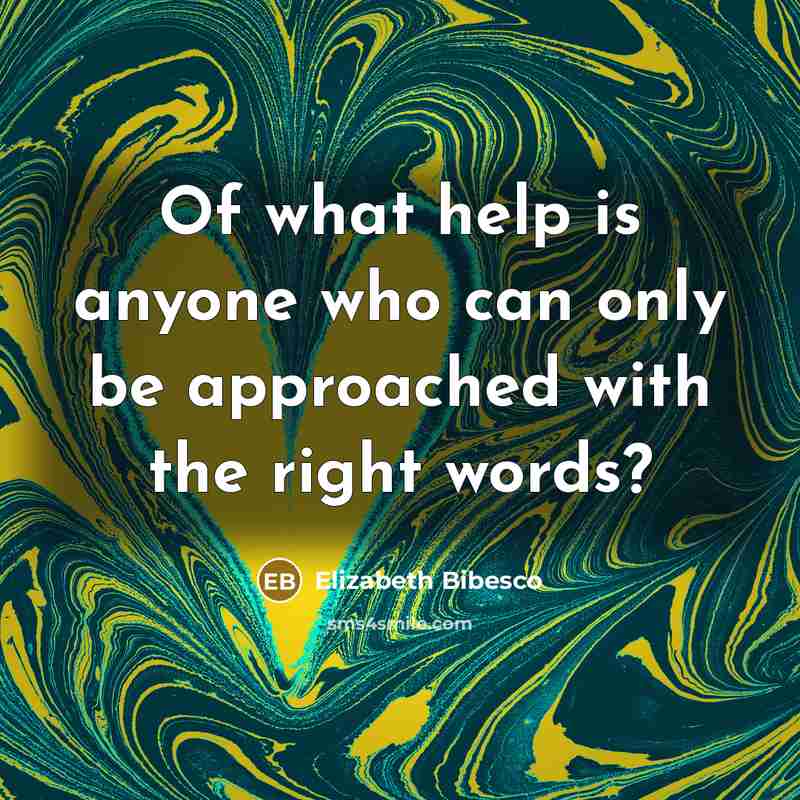 “Of what help is anyone who can only be approached with the right words?” quote by Elizabeth Bibesco