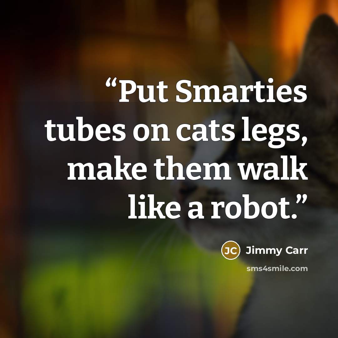 “Put Smarties tubes on cats legs, make them walk like a robot.” quote by Jimmy Carr