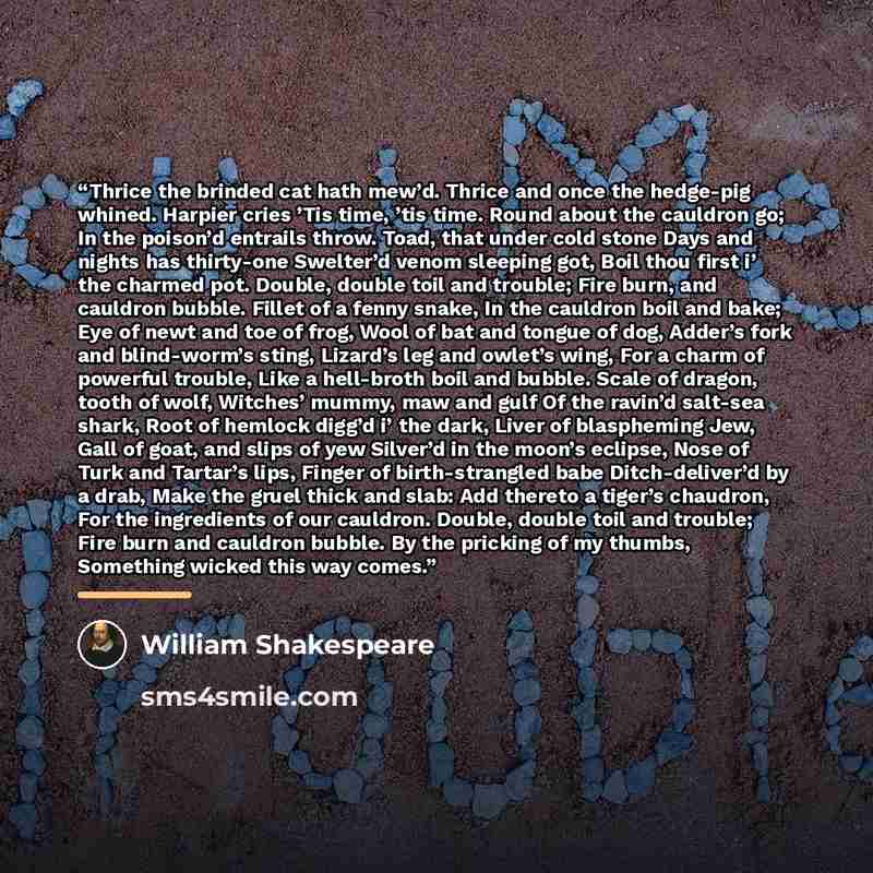 “Thrice the brinded cat hath mew’d. Thrice and once the hedge-pig whined. Harpier cries ’Tis time, ’tis time. Round about the cauldron go; In the poison’d entrails throw. Toad, that under cold stone Days and nights has thirty-one Swelter’d venom sleeping got, Boil thou first i’ the charmed pot…” quote by William Shakespeare
