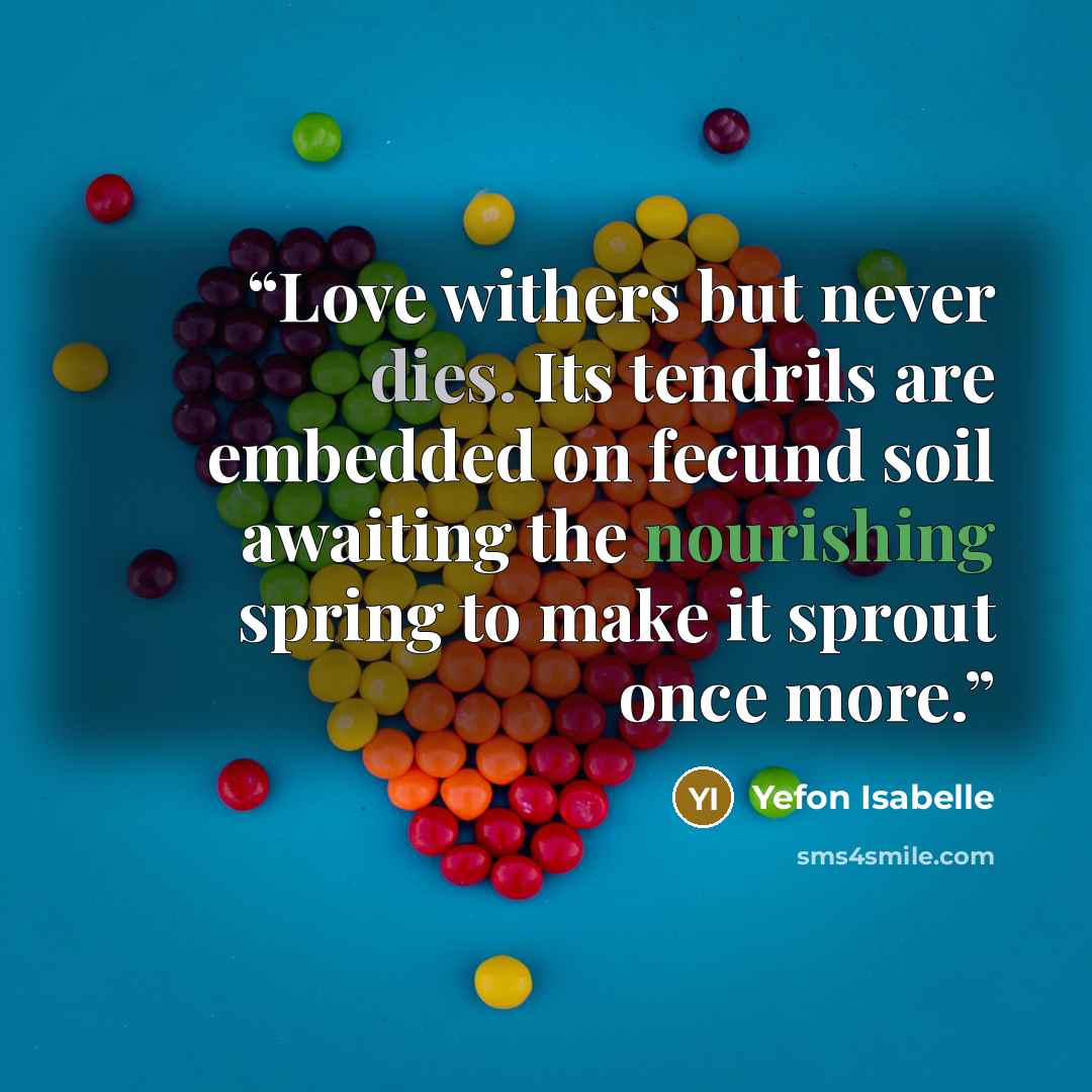 “Love withers but never dies. Its tendrils are embedded on fecund soil awaiting the nourishing spring to make it sprout once more.” quote by Yefon Isabelle