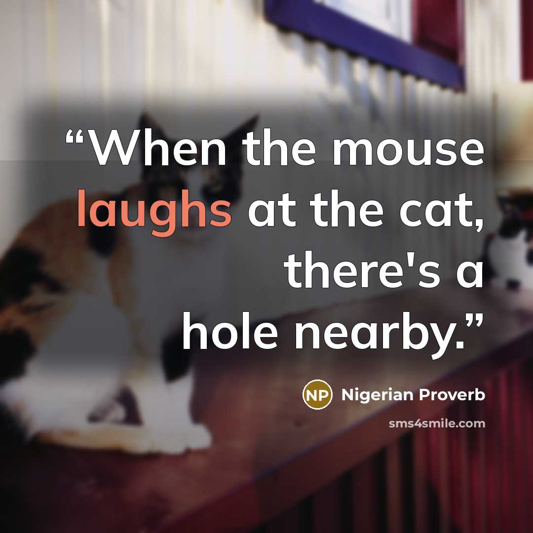 “When the mouse laughs at the cat, there's a hole nearby.” quote by Nigerian Proverb