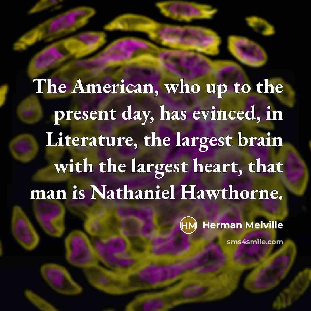 “The American, who up to the present day, has evinced, in Literature, the largest brain with the largest heart, that man is Nathaniel Hawthorne.” quote by Herman Melville