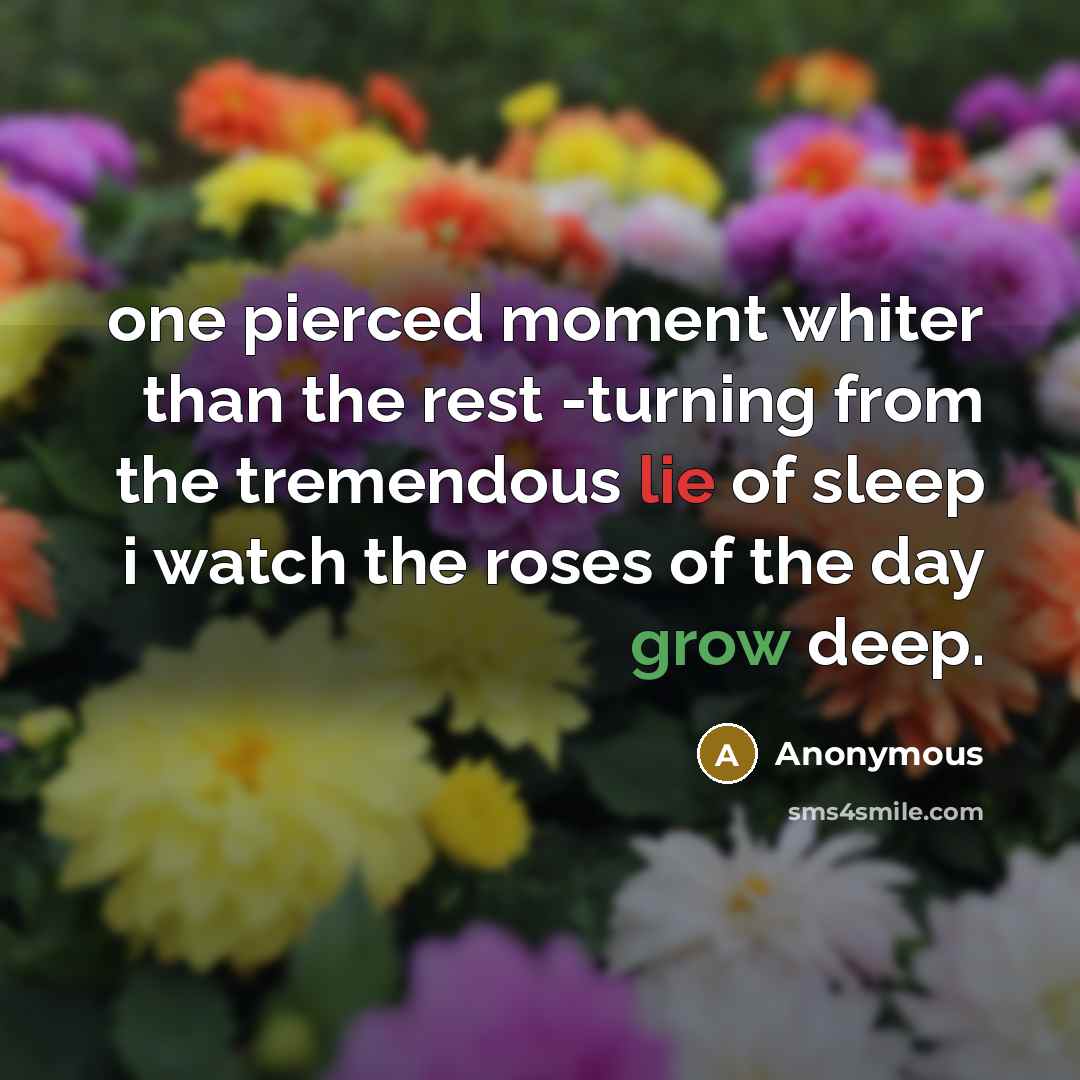 “one pierced moment whiter than the rest -turning from the tremendous lie of sleep i watch the roses of the day grow deep.” quote by Anonymous