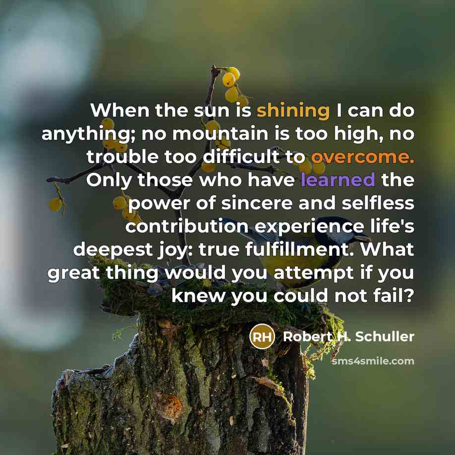 “When the sun is shining I can do anything; no mountain is too high, no trouble too difficult to overcome. Only those who have learned the power of sincere and selfless contribution experience life's deepest joy: true fulfillment. What great thing would you attempt if you knew you could not fail?” quote by Robert H. Schuller