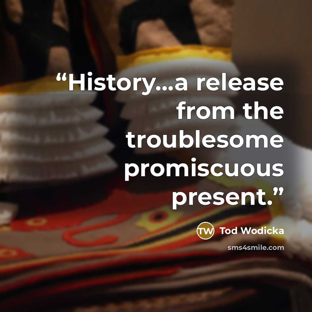 “History...a release from the troublesome promiscuous present.” quote by Tod Wodicka