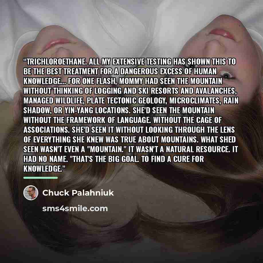 “Trichloroethane. All my extensive testing has shown this to be the best treatment for a dangerous excess of human knowledge... For one flash, mommy had seen the mountain without thinking of logging and ski resorts and avalanches, managed wildlife, plate tectonic geology, microclimates, rain…” quote by Chuck Palahniuk