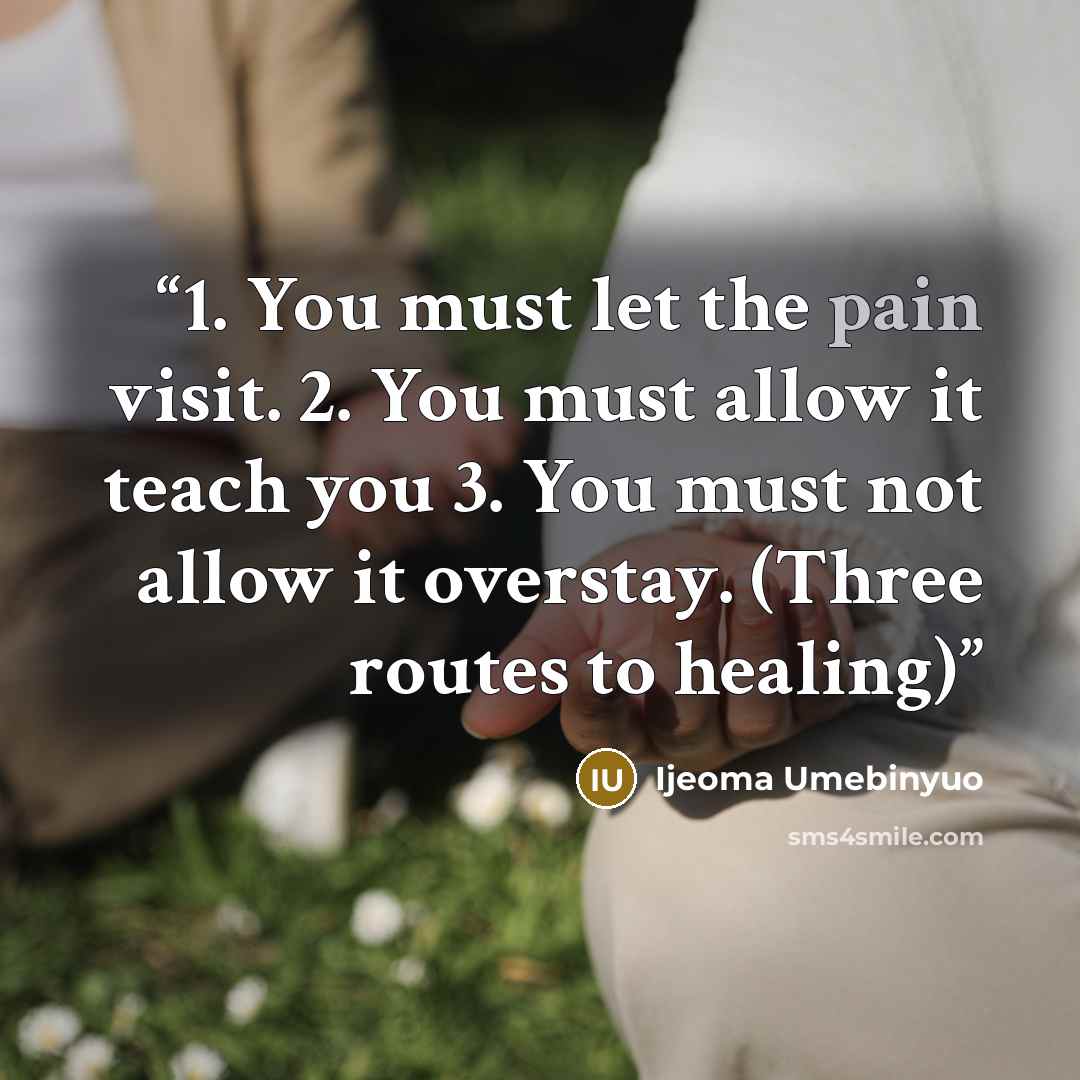 “1. You must let the pain visit. 2. You must allow it teach you 3. You must not allow it overstay. (Three routes to healing)” quote by Ijeoma Umebinyuo