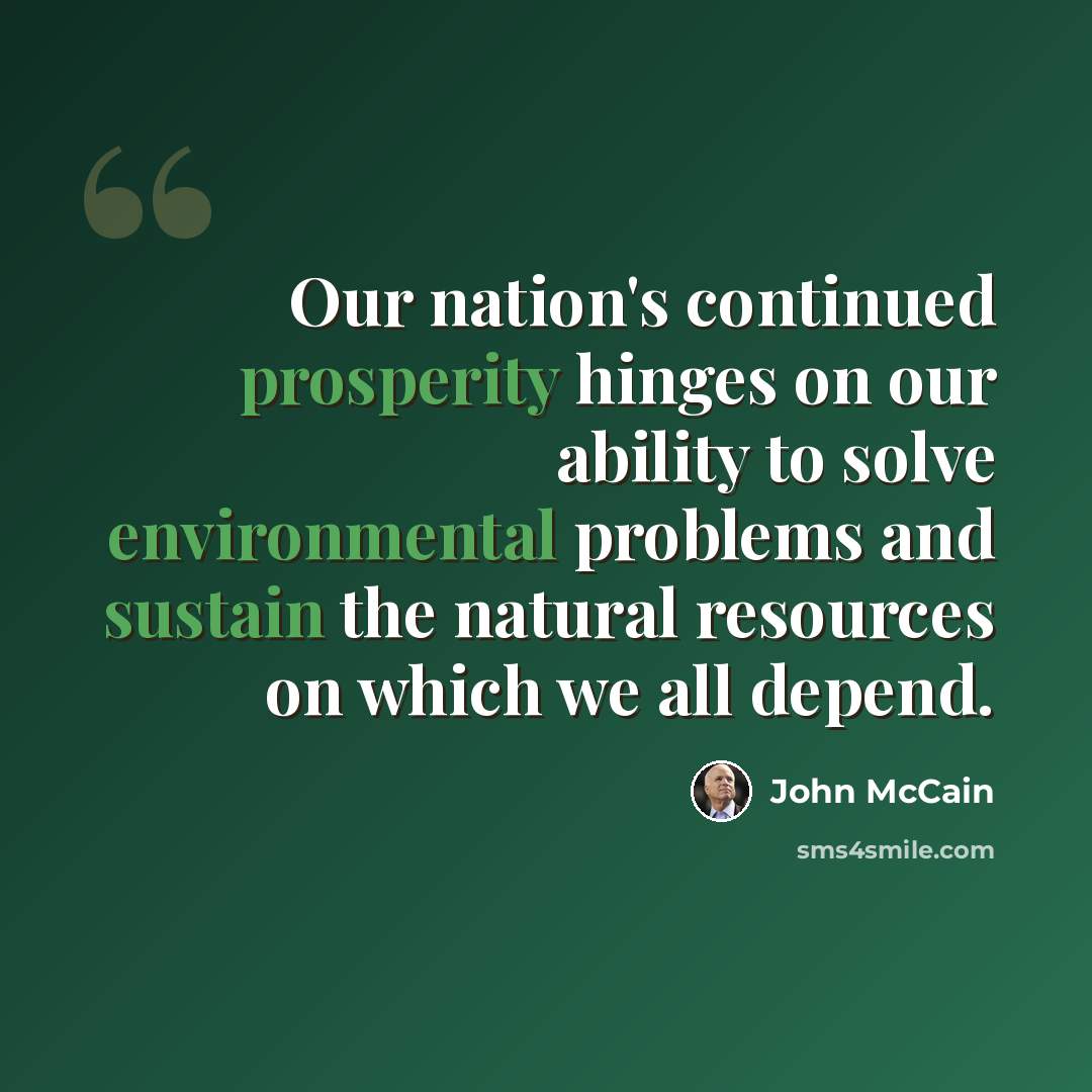 “Our nation's continued prosperity hinges on our ability to solve environmental problems and sustain the natural resources on which we all depend.” quote by John McCain