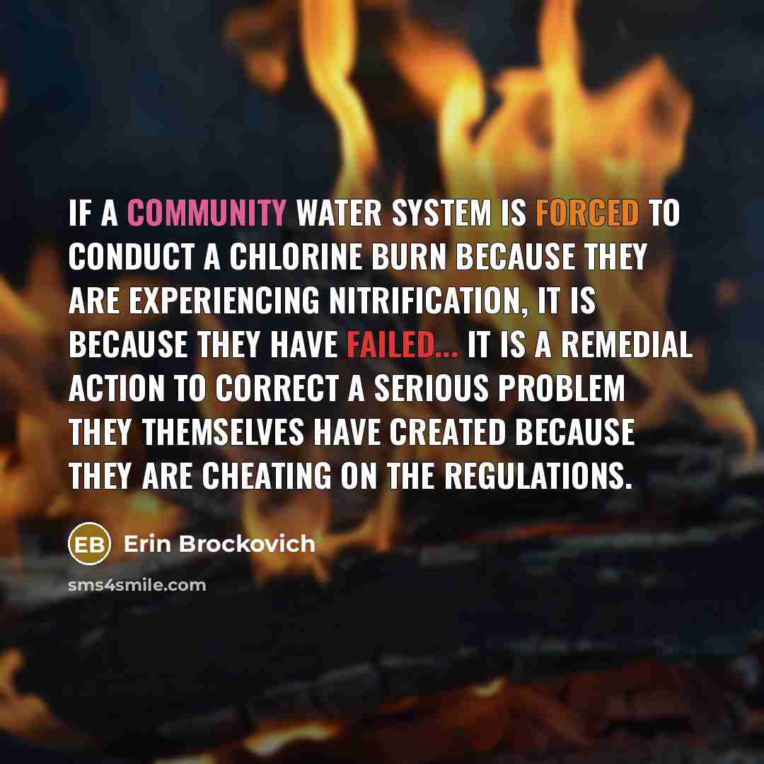 “If a community water system is forced to conduct a chlorine burn because they are experiencing nitrification, it is because they have failed... It is a remedial action to correct a serious problem they themselves have created because they are cheating on the regulations.” quote by Erin Brockovich