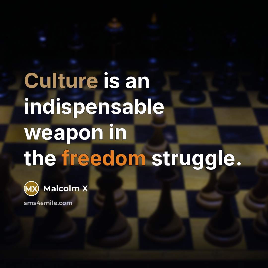 “Culture is an indispensable weapon in the freedom struggle.” quote by Malcolm X