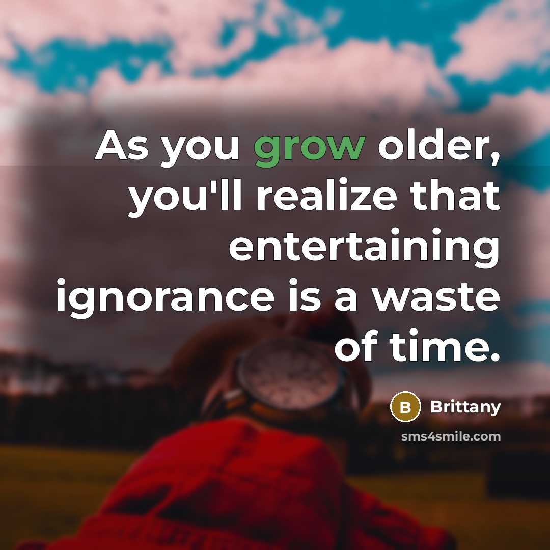 “As you grow older, you'll realize that entertaining ignorance is a waste of time.” quote by Brittany