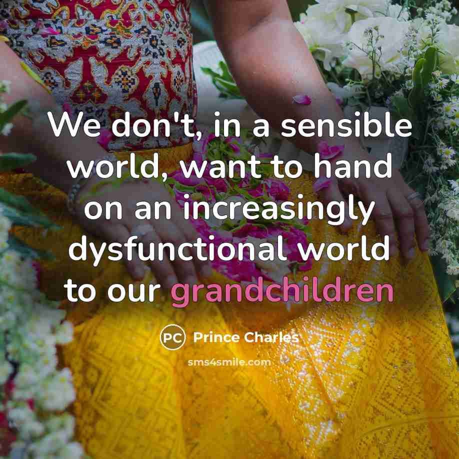 “We don't, in a sensible world, want to hand on an increasingly dysfunctional world to our grandchildren” quote by Prince Charles