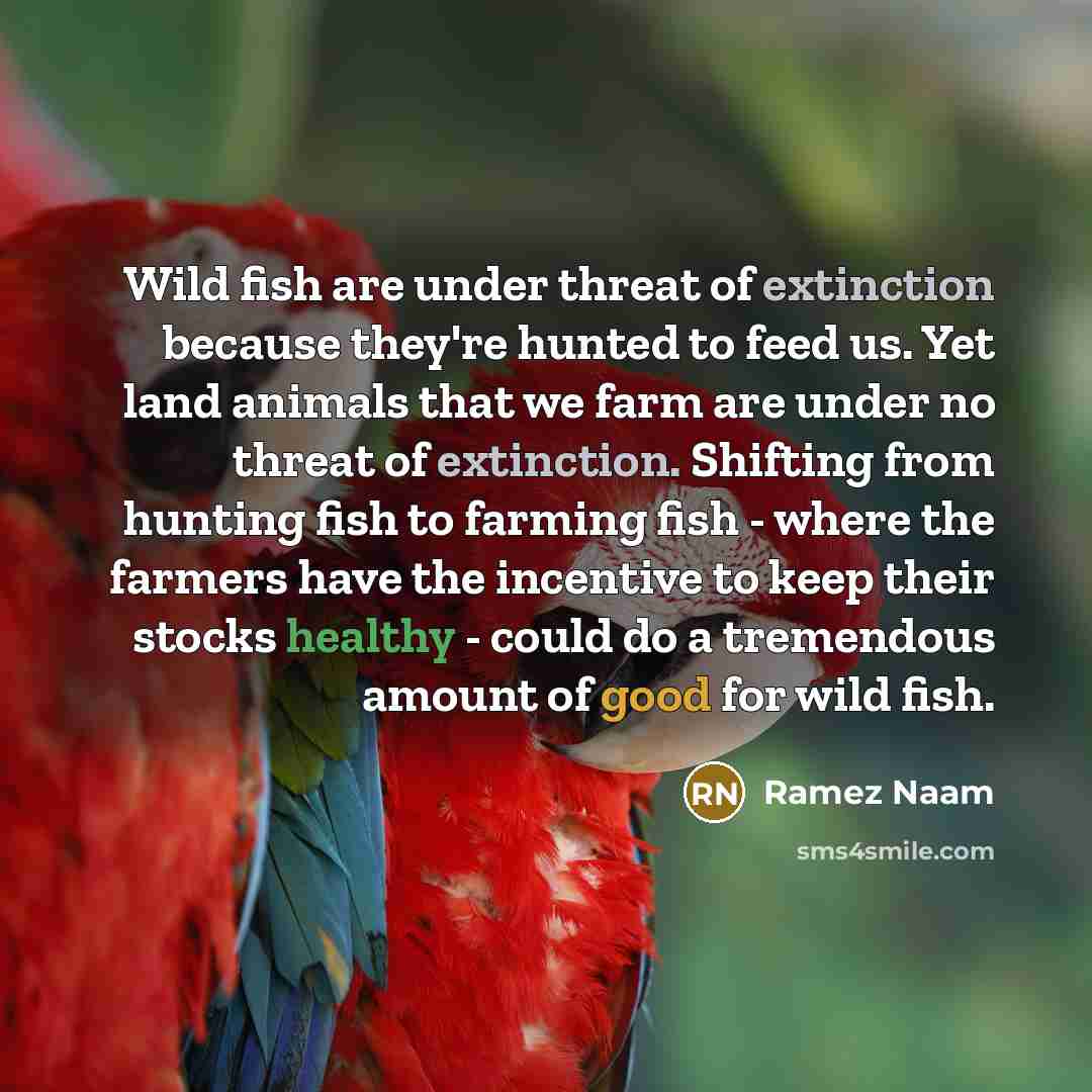 “Wild fish are under threat of extinction because they're hunted to feed us. Yet land animals that we farm are under no threat of extinction. Shifting from hunting fish to farming fish - where the farmers have the incentive to keep their stocks healthy - could do a tremendous amount of good for…” quote by Ramez Naam
