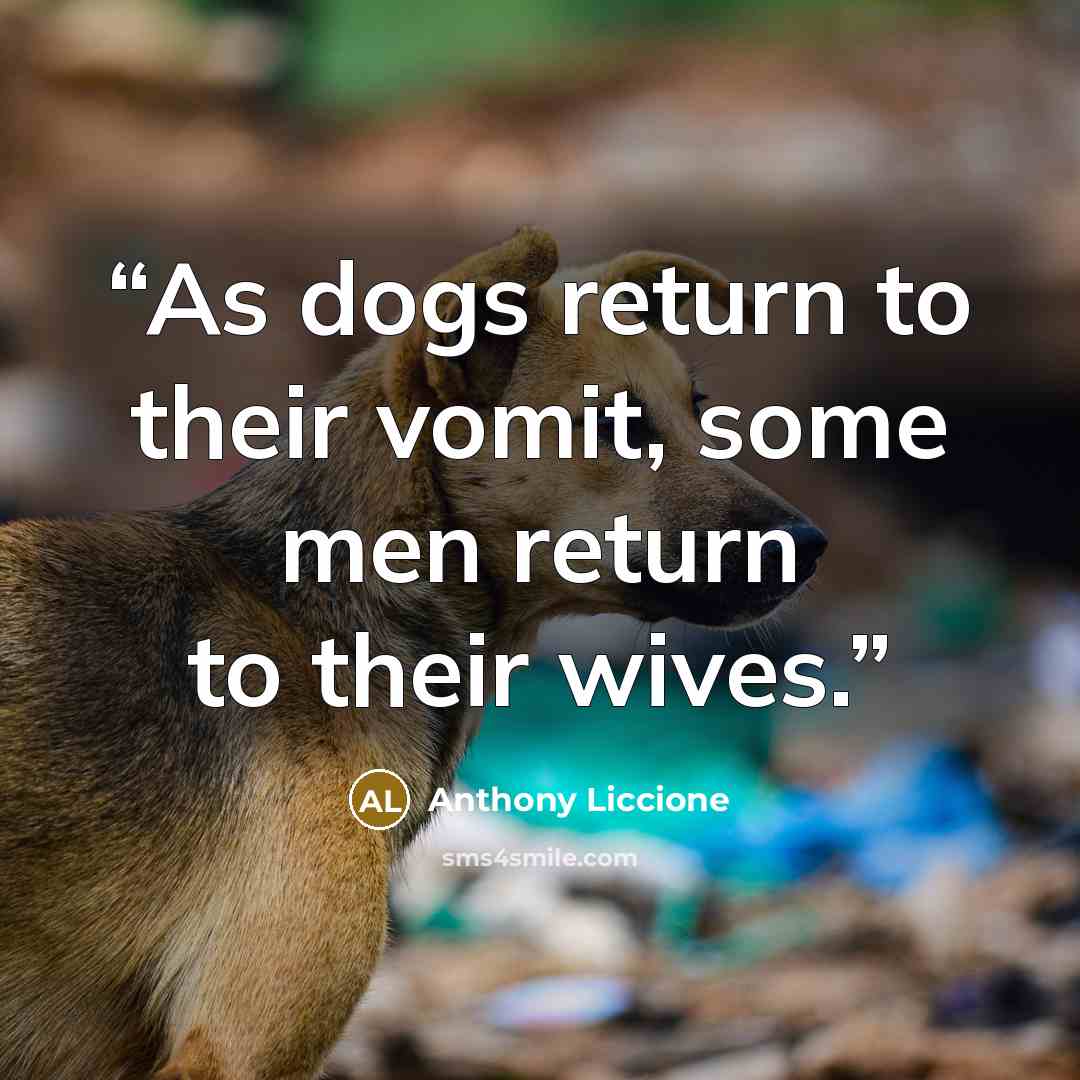 “As dogs return to their vomit, some men return to their wives.” quote by Anthony Liccione