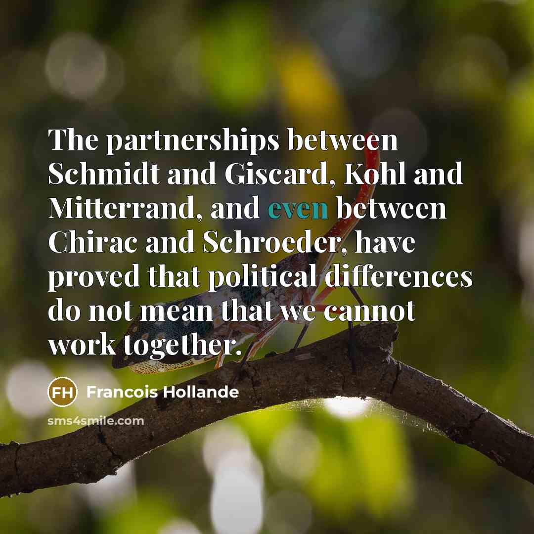 “The partnerships between Schmidt and Giscard, Kohl and Mitterrand, and even between Chirac and Schroeder, have proved that political differences do not mean that we cannot work together.” quote by Francois Hollande