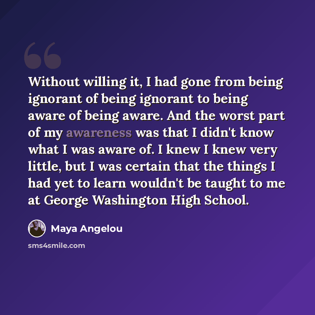 “Without willing it, I had gone from being ignorant of being ignorant to being aware of being aware. And the worst part of my awareness was that I didn't know what I was aware of. I knew I knew very little, but I was certain that the things I had yet to learn wouldn't be taught to me at George…” quote by Maya Angelou