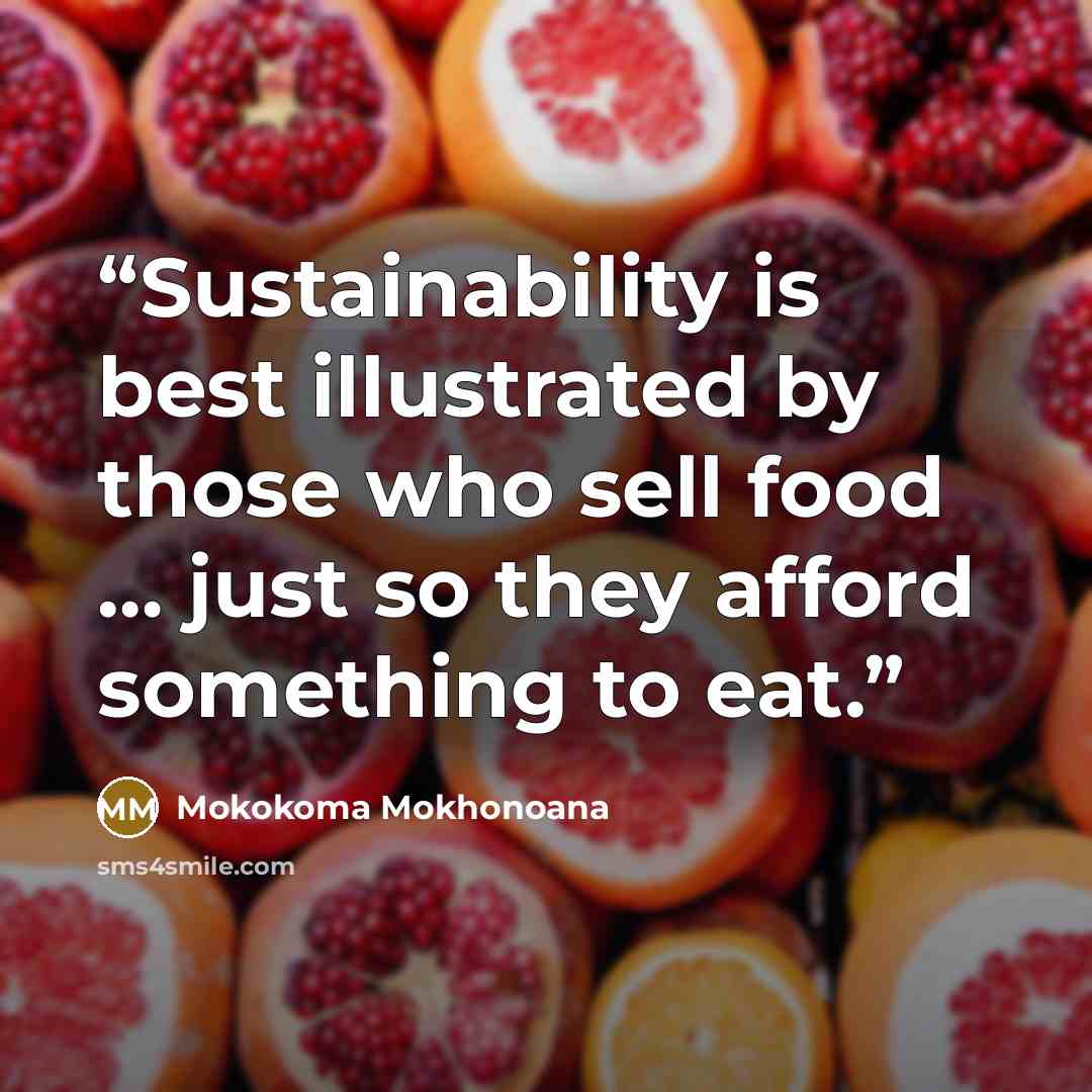 “Sustainability is best illustrated by those who sell food … just so they afford something to eat.” quote by Mokokoma Mokhonoana