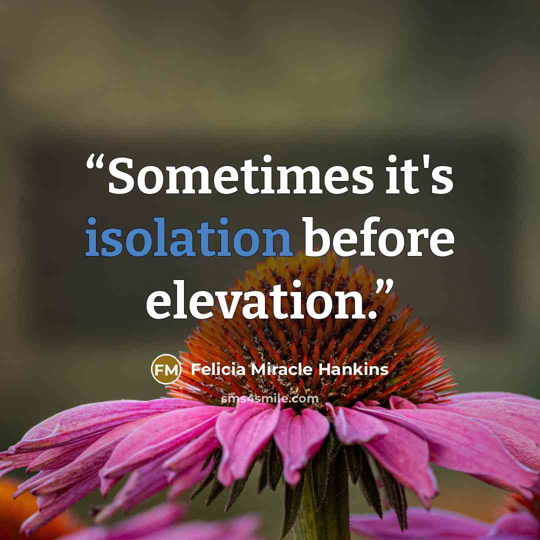 “Sometimes it's isolation before elevation.” quote by Felicia Miracle Hankins